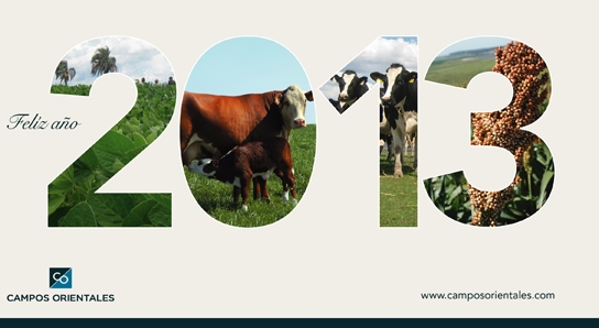 diciembre 2012